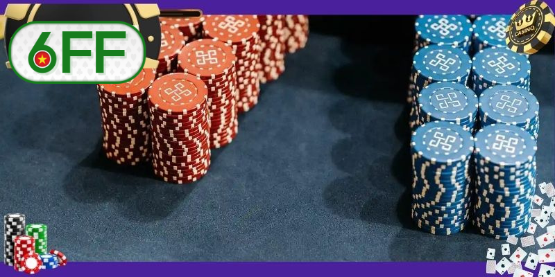 Bản sắc 6FF - với nhiều sự lựa chọn